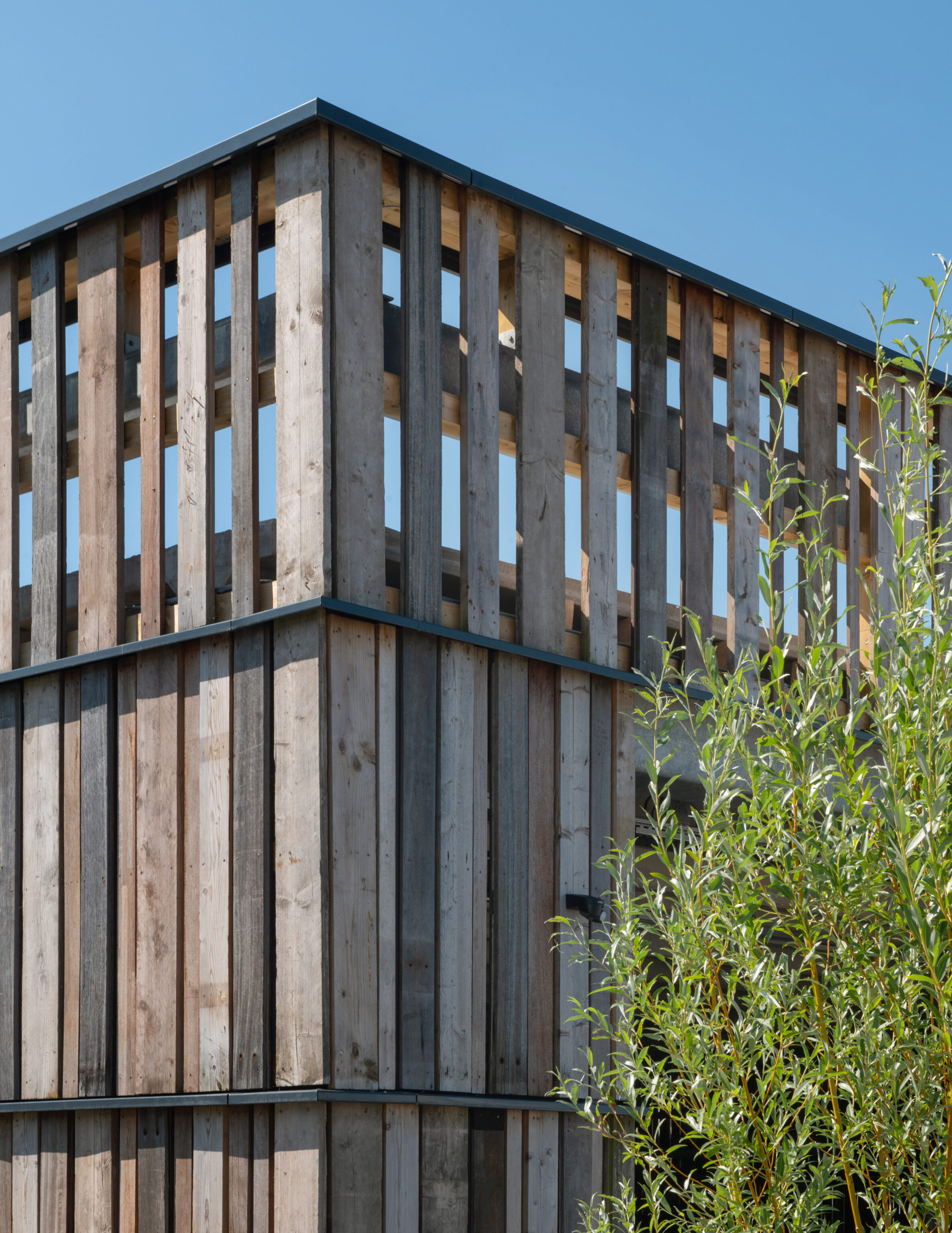 ©-Aiste-Rakauskaite-2-1-aspect-ratio-220-285
